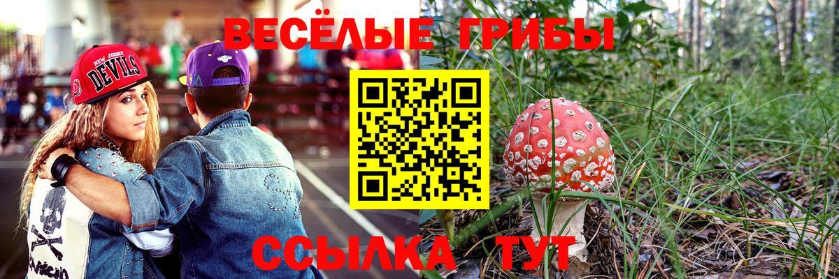 Белогорск  Галлюциногенные грибы MAGIC MUSHROOMS  Вход с VPN 